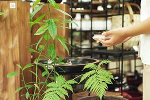 ナチュラルで素敵な学習机はいかがですか